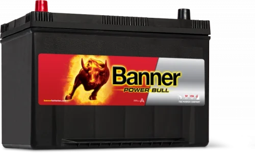 POWER BULL 95AH(P95 05)